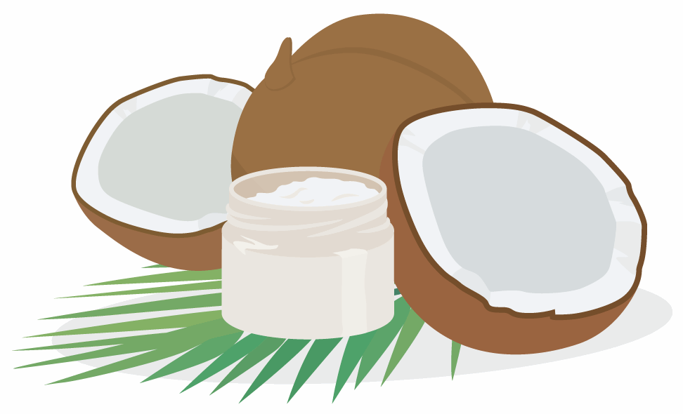 Kokosl und Kokosnuss