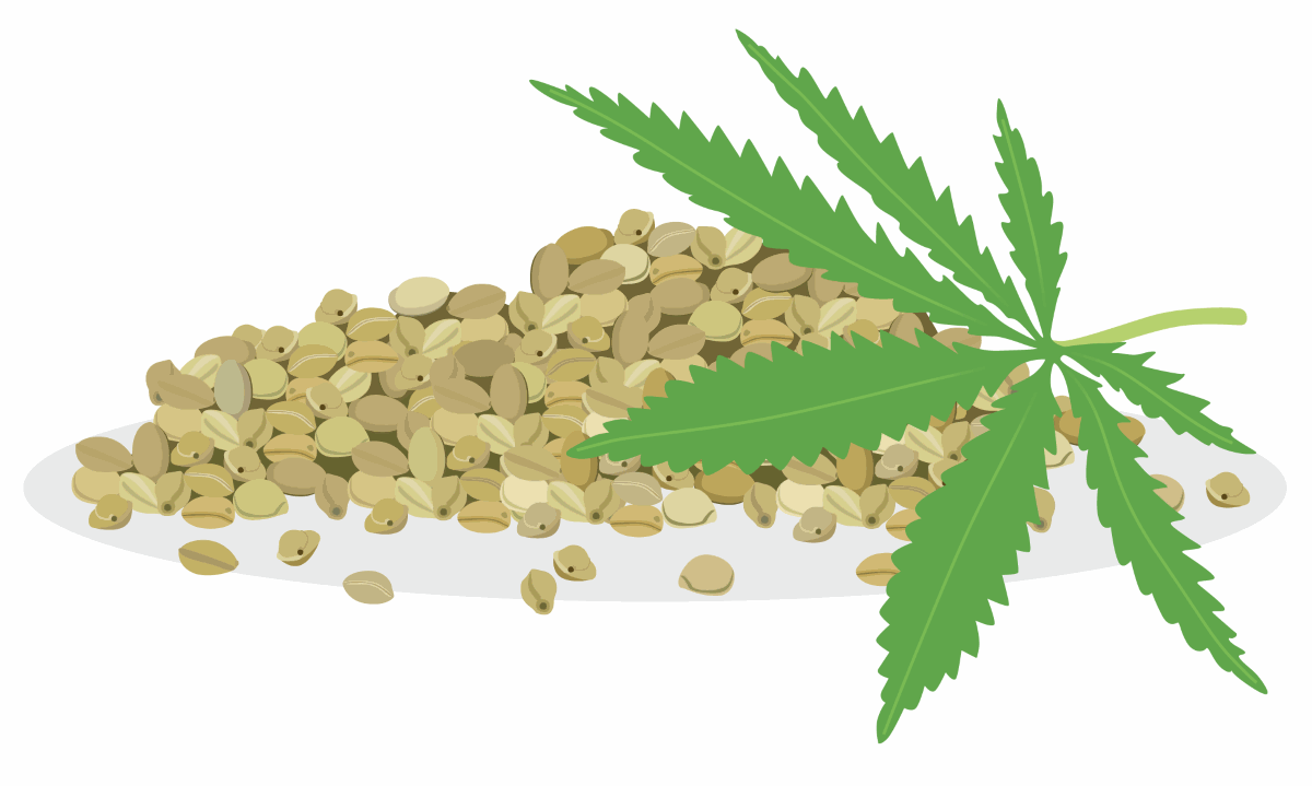Wechselwirkung von Cannabis (CBD/THC) und Medikamenten: CBD und THC sind die zwei bekanntesten Wirkstoffe von mehr als hundert
Cannabinoiden in der Hanfpflanze